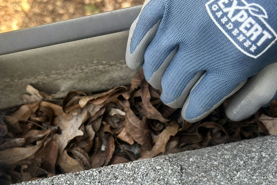 Gutter Cleaning Chilhowie