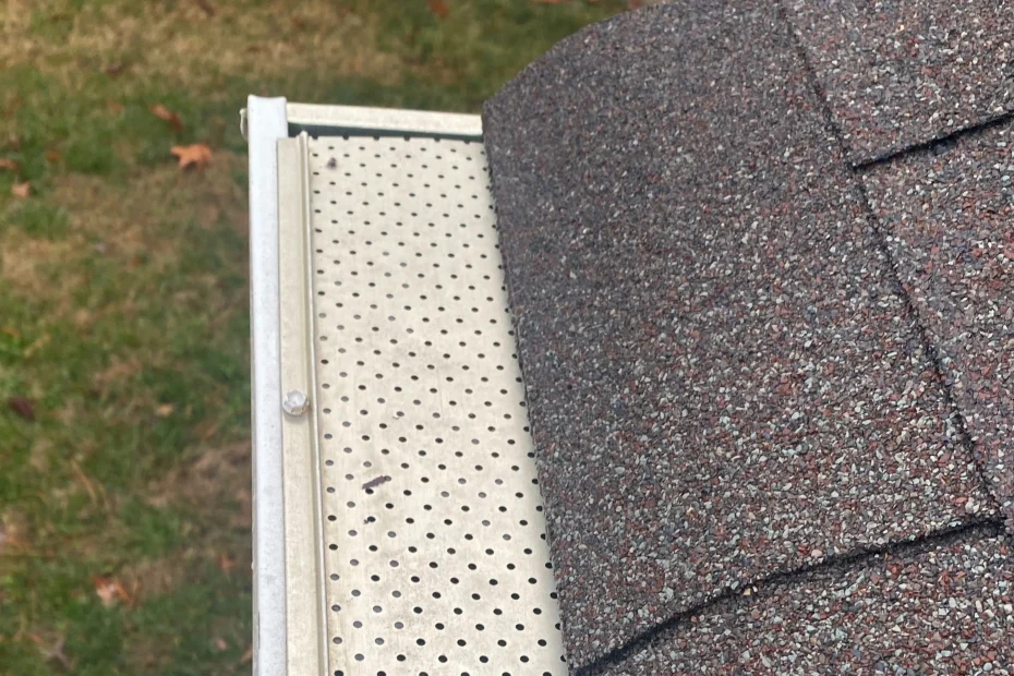 Gutter Cleaning Chilhowie